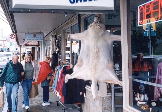 2001-06-United-States-Alaska-furgallery