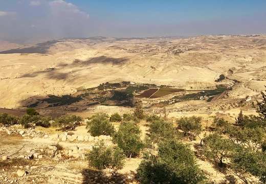 2022-11-Middle-East-Jordan-Mt.Nebo-11