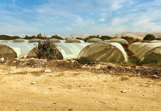 2022-11-Middle-East-Jordan-Mt.Nebo-IMG 0251