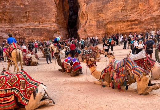 2022-11-Middle-East-Jordan-Petra-IMG 0351