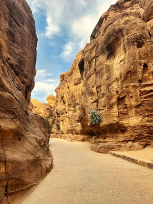 2022-11-Middle-East-Jordan-Petra-IMG 0607