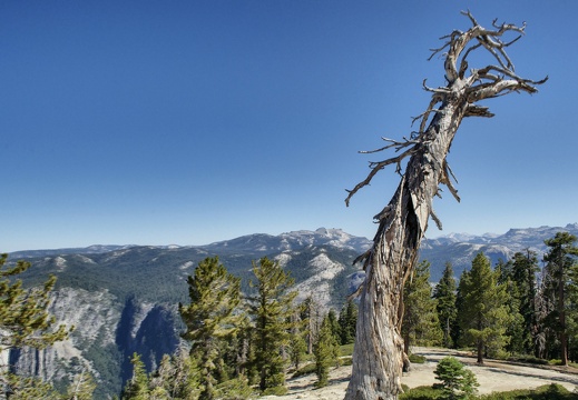 namerica california yosemite DSC 3153-DSC 3155 pro