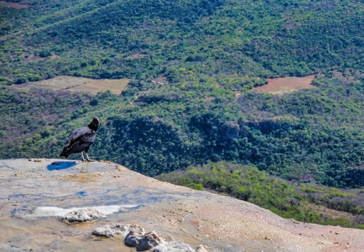 2017-11-19-Oaxaca Mexico-0073