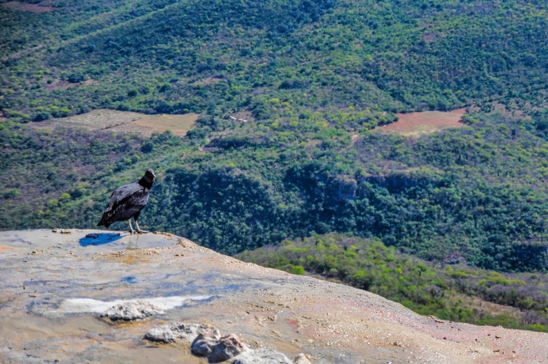 2017-11-19-Oaxaca_Mexico-0073.jpg