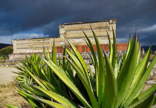 2017-11-19-Oaxaca Mexico-0318