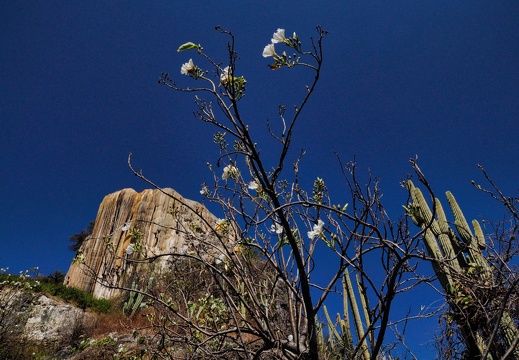 2017-11-22-Oaxaca Mexico-0253