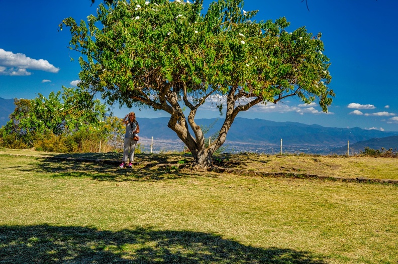 2017-11-21-Oaxaca_Mexico-0199.jpg