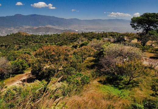 2017-11-19-Oaxaca Mexico-0012