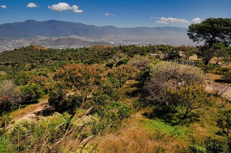 2017-11-19-Oaxaca_Mexico-0012.jpg