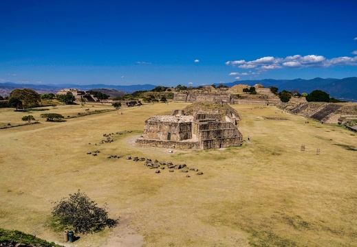 2017-11-21-Oaxaca Mexico-0203