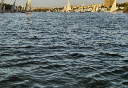 africa egypt aswan img 4929 pro