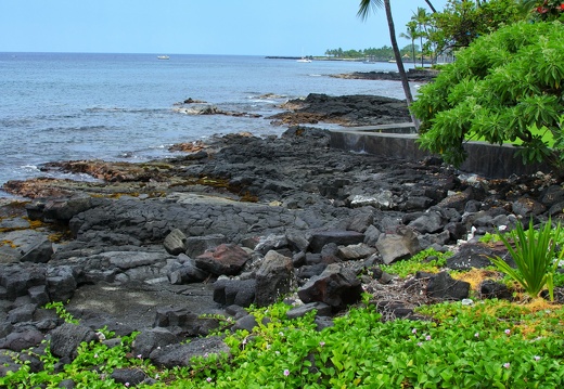 namerica hawaii bigisland DSC 0206 2 pro