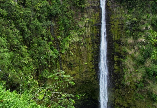 namerica hawaii bigisland DSC 0097 2 pro