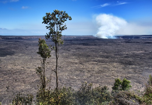 namerica hawaii bigisland DSC 0120 pro