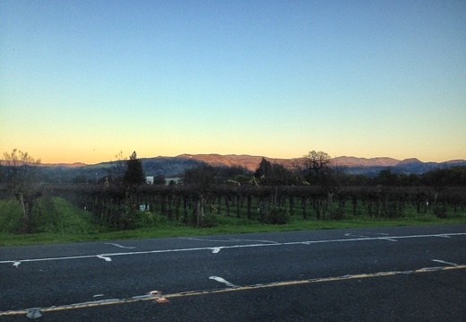 2014-12-30-napa-vineyards