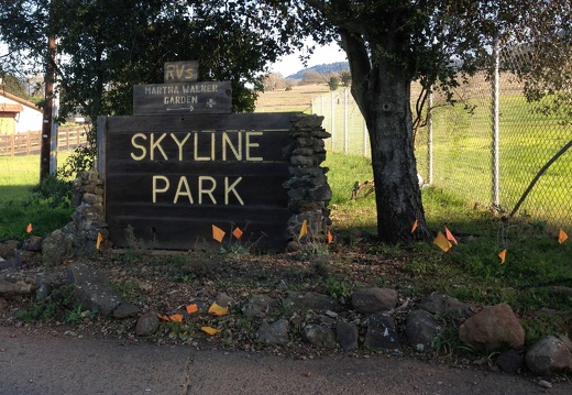 2015-01-01-skyline-park