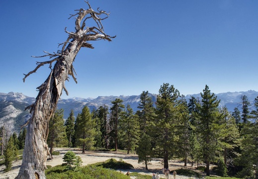 namerica california yosemite DSC 3150-DSC 3152 pro