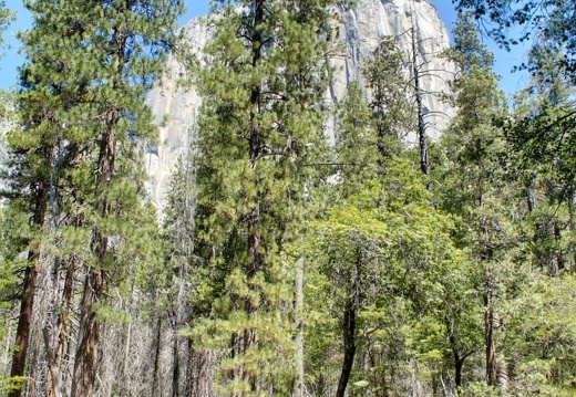 namerica california yosemite DSC 3239-DSC 3241 pro