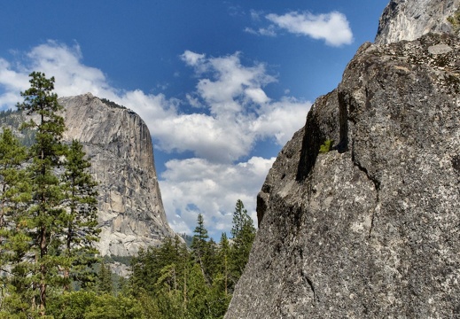 namerica california yosemite DSC 3299-DSC 3301 pro