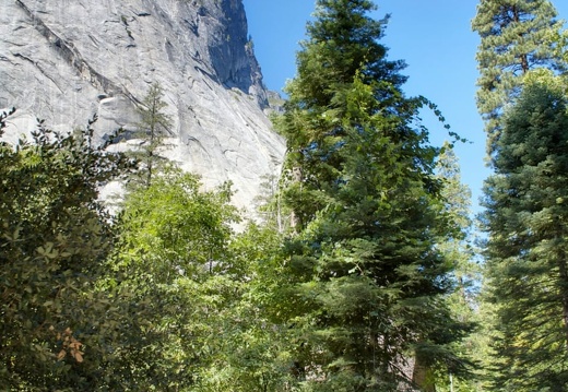 namerica california yosemite DSC 3374-DSC 3376 pro