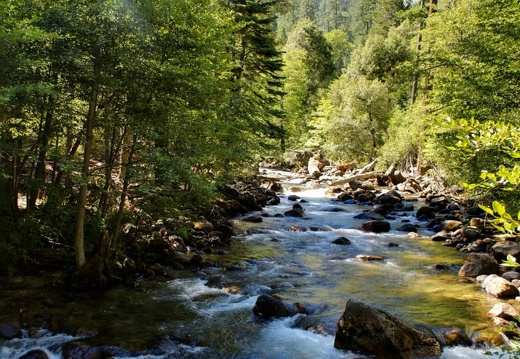 namerica california yosemite DSC 3377-DSC 3379 pro