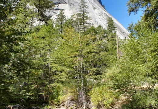 namerica california yosemite DSC 3380-DSC 3382 pro